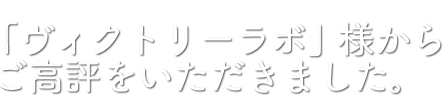 「ヴィクトリーラボ」様からご高評をいただきました