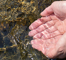 earthwater(アースウォーター)